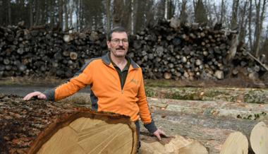 Holz ist nicht gleich Holz: Auch im Wald gibt es «Filetstücke»