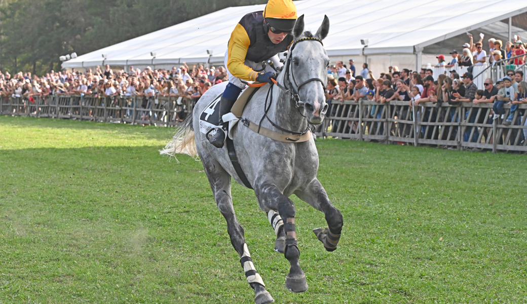 Spannender Sport und Nervenkitzel beim Wetten