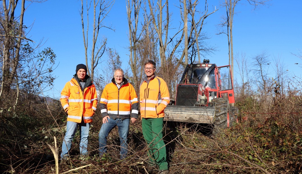 Hier wird künftig der Werdenberger Binnenkanal durchfliessen: (von links) Projektleiter Dominik Wäger, WBK-Präsident Eduard Neuhaus und Förster Peter Benz im Wald direkt neben der Autobahn zwischen Sevelen und Buchs.