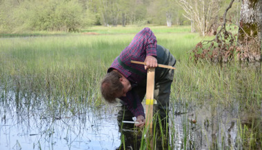 «Bibersee» hält die Ortsgemeinde auf Trab