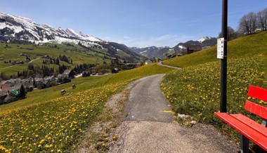 Fitness für alle auf dem Bänkli-Weg