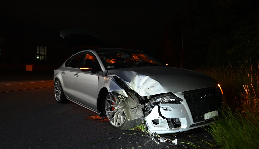 Der Unfalllenker kam mit seinem Auto von der Strasse ab.