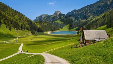 «'s biisst wi d'Sau»: Entenflöhe im Sämtisersee