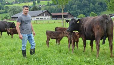 Vom Acker in die Gourmetküche: Exklusives Fleisch von japanischen Wagyu-Rindern