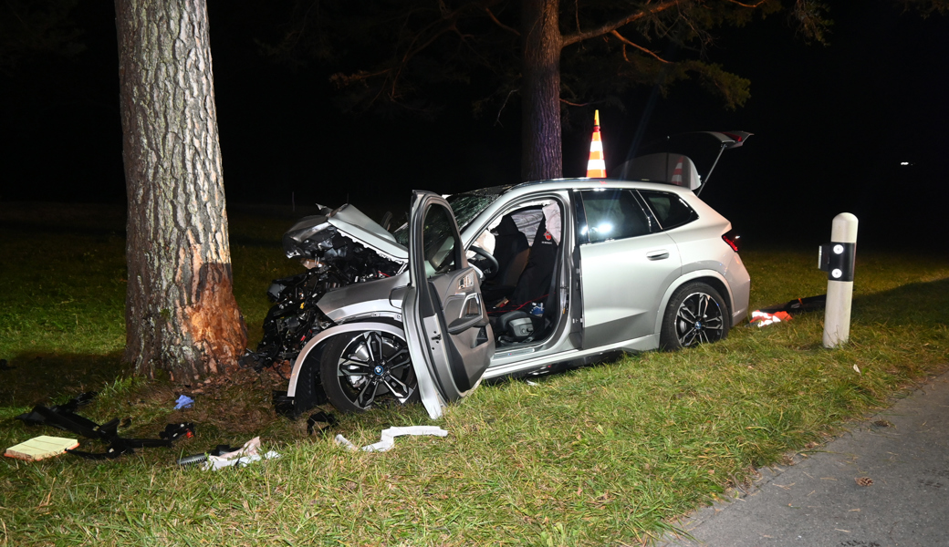 Der Fahrer kam von der Fahrbahn ab und kollidierte mit einem Baum.