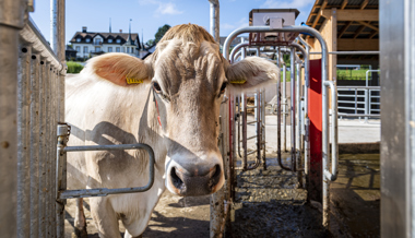 Fokus am LZSG auf nachhaltiger Tierproduktion