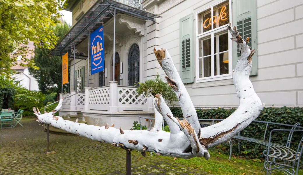 Der Baumstamm vor dem Museum ist ein Werk der in Berlin lebenden Künstlerin Hori Izhaki.