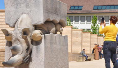 Die Kunstwerke machen das Leben verständlicher