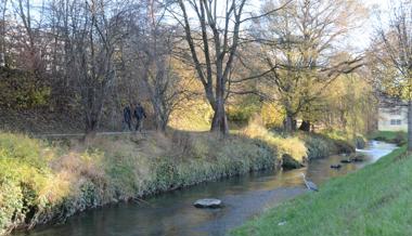 Revitalisierung des Giessen startet bald – im Januar werden Bäume gerodet