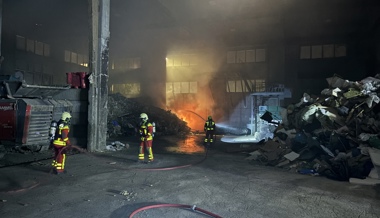 In einer Recyclinganlage geriet ein Abfallhaufen in Brand