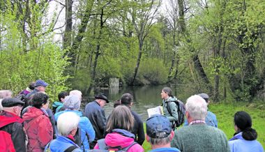 Ornithologen entdecken schillernde und seltene Tiere