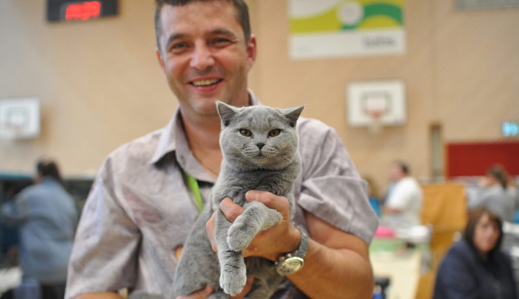  Katzen stehen bei ihm im Vordergrund: Michael Friedauer, Präsident der Rassekatzen-Vereinigung Ostschweiz. 