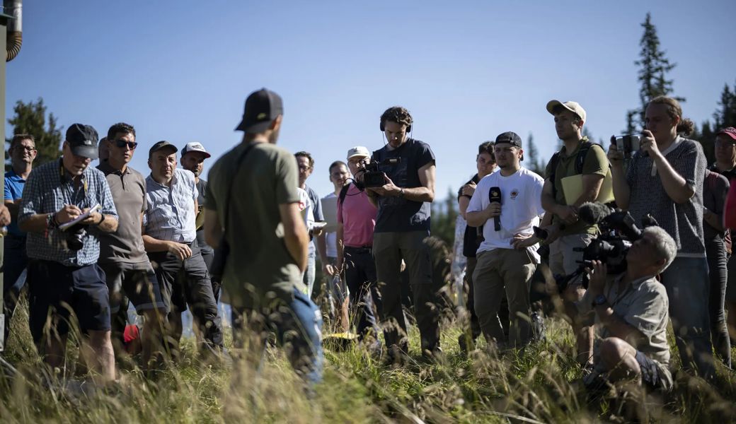 «Wettrüsten zwischen Hirt und Wolf»: Bauernvertreter fordern Abschuss der Flumser Problemwölfe