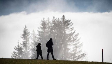 Novemberblues: Wenn das Dauer-Herbstgrau aufs Gemüt schlägt