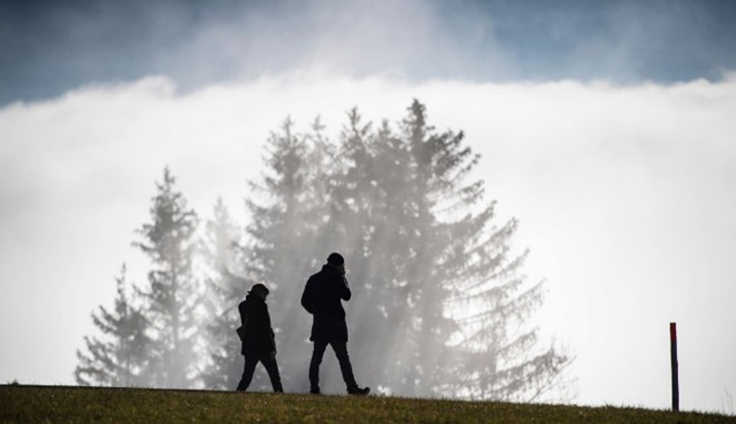 Novemberblues: Wenn das Dauer-Herbstgrau aufs Gemüt schlägt