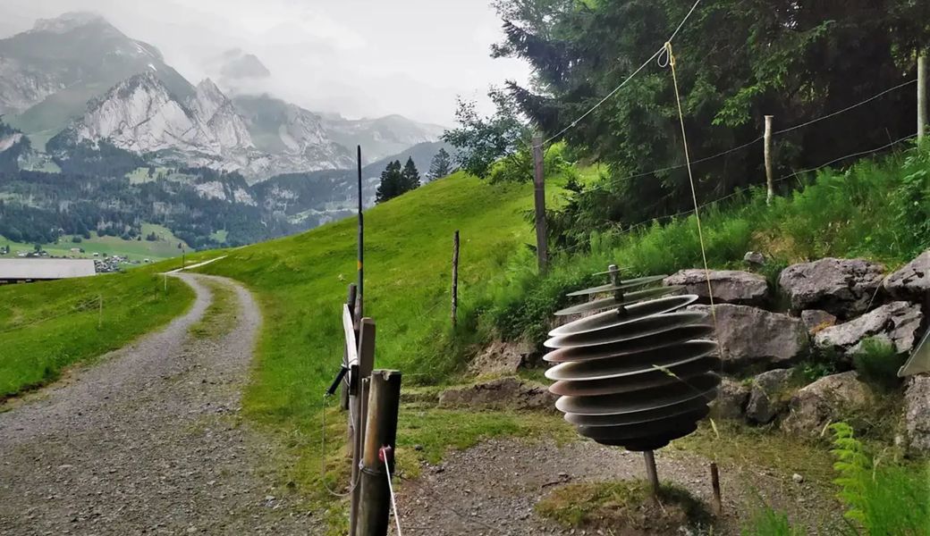 Manche Exponate auf dem Klangweg in Alt St.Johann sind in die Jahre gekommen. 