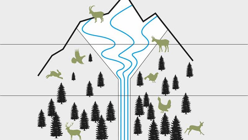  Je näher man sich dem Wald nähert, desto kleiner sollte der Raumanspruch werden, wie bei einem Trichter. Grafik: Verein Natur und Freizeit