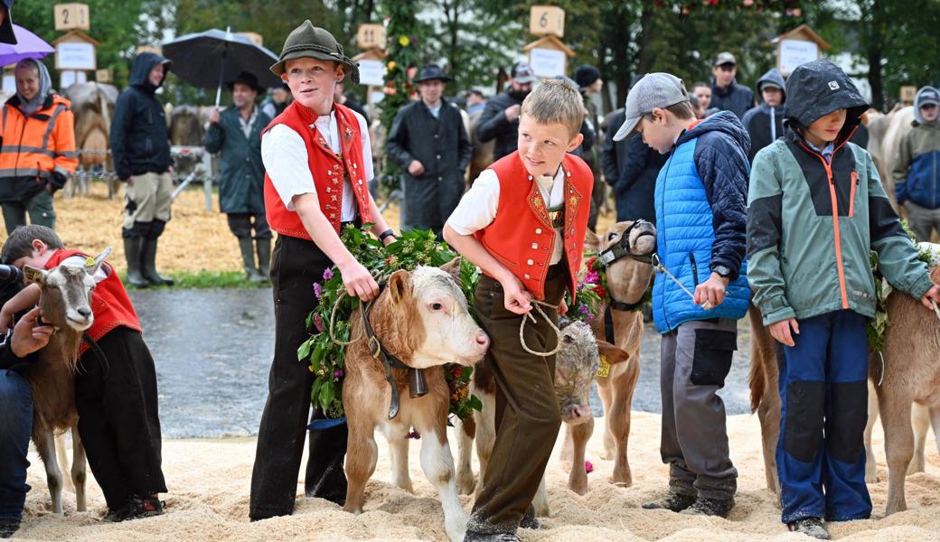 Mit Stolz und Sennentracht: Zwei Jungzüchter an der Viehschau