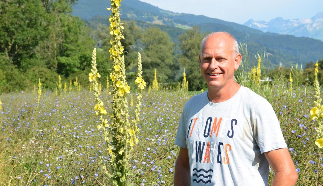 Heinz Müller bereitet Bienen, Hummeln und co. eine grosse Freude