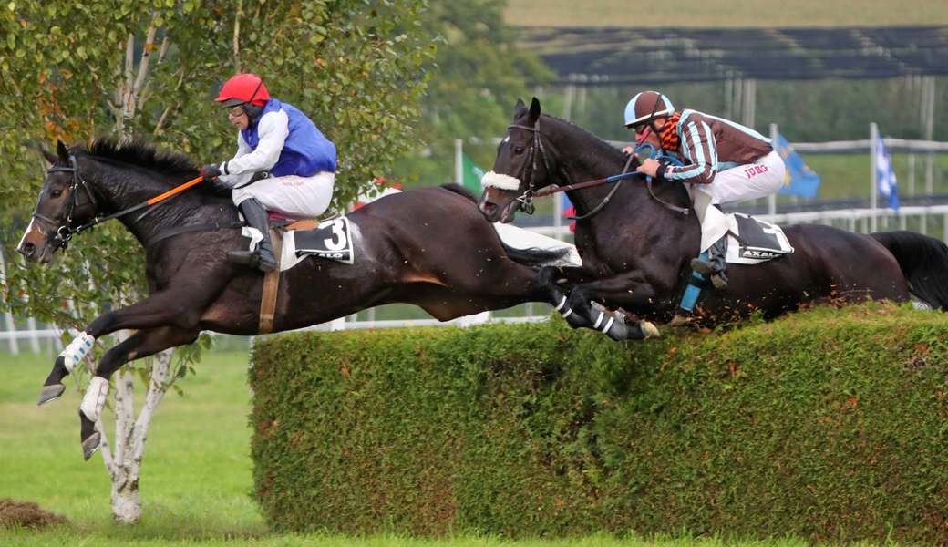 Grosser Sieger: Beaumar mit Ivan Cherchi gewinnt den Preis des Cross-Clubs Maienfeld. Andy Mettler / Swiss Image