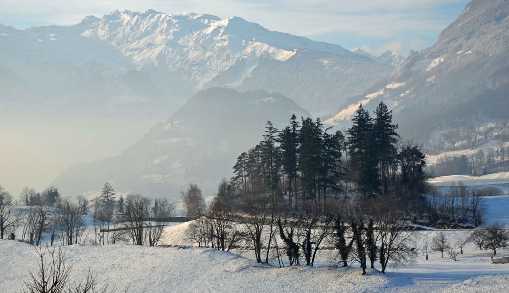 Im Ruhwald auf dieser Hügelkuppe bei Gretschins können Verstorbene seit 2011 ihre Asche begraben lassen.