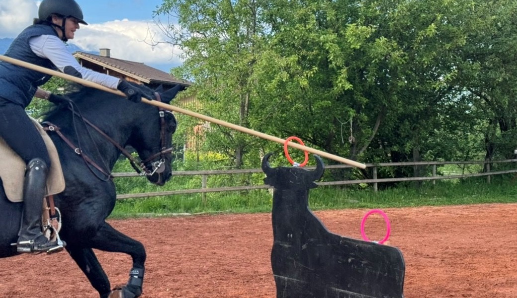 An verschiedenen Hindernissen wurden die Fertigkeiten beim Working Equitation getestet und verfeinert. 