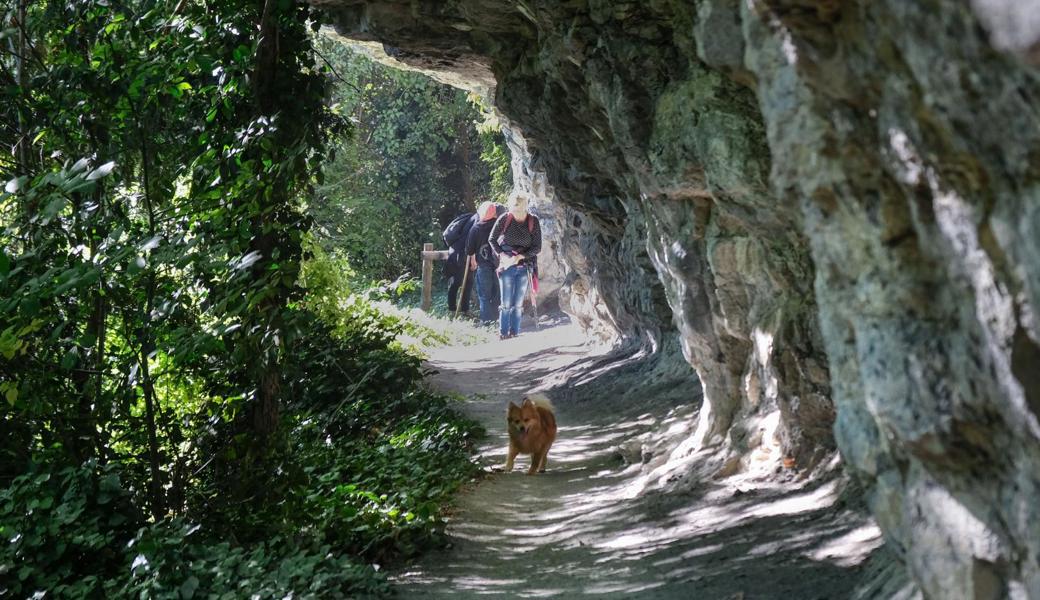 Der attraktive Felsbandweg verläuft entlang der Staatsgrenze zwischen dem Fürstentum Liechtenstein und dem österreichischen Bundesland Vorarlberg.