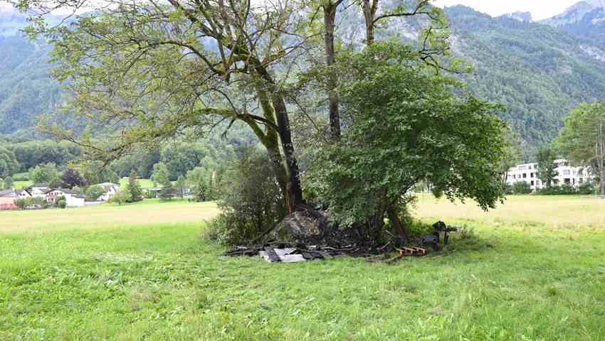 Hier befand sich die niedergebrannte Baumhütte.