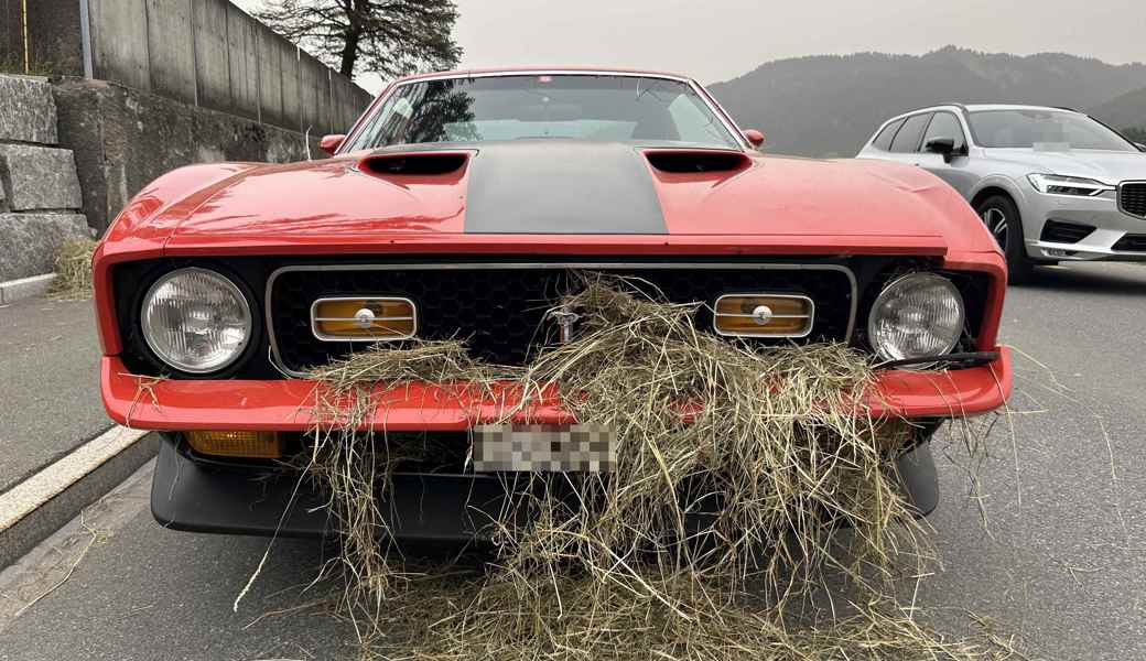 Der Lenker dieses Ford Mustangs verletzte sich wegen des Heuballens.