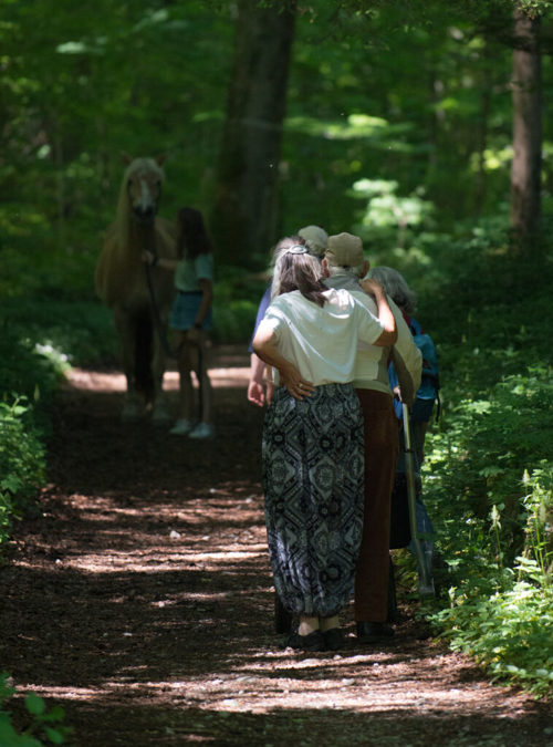  Der Wald als Begegnungszone für Mensch, Tier und Pflanzen. 