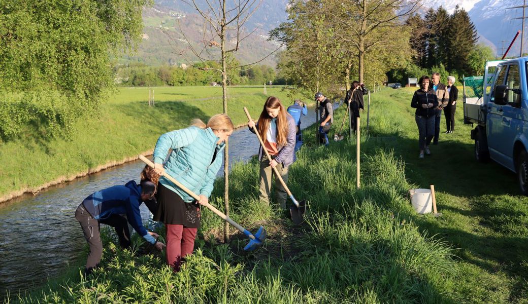  Acht Jugendliche durften am Werdenberger Binnenkanal ihren eigenen Kodex-Baum pflanzen. Sie packten an und tragen damit dazu bei, dass entlang des Gewässers wieder eine Allee entsteht. 