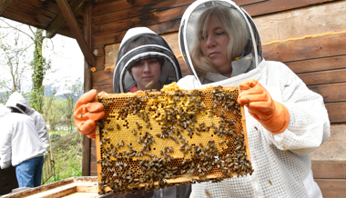 Die Bienen kennen keine Grenzen