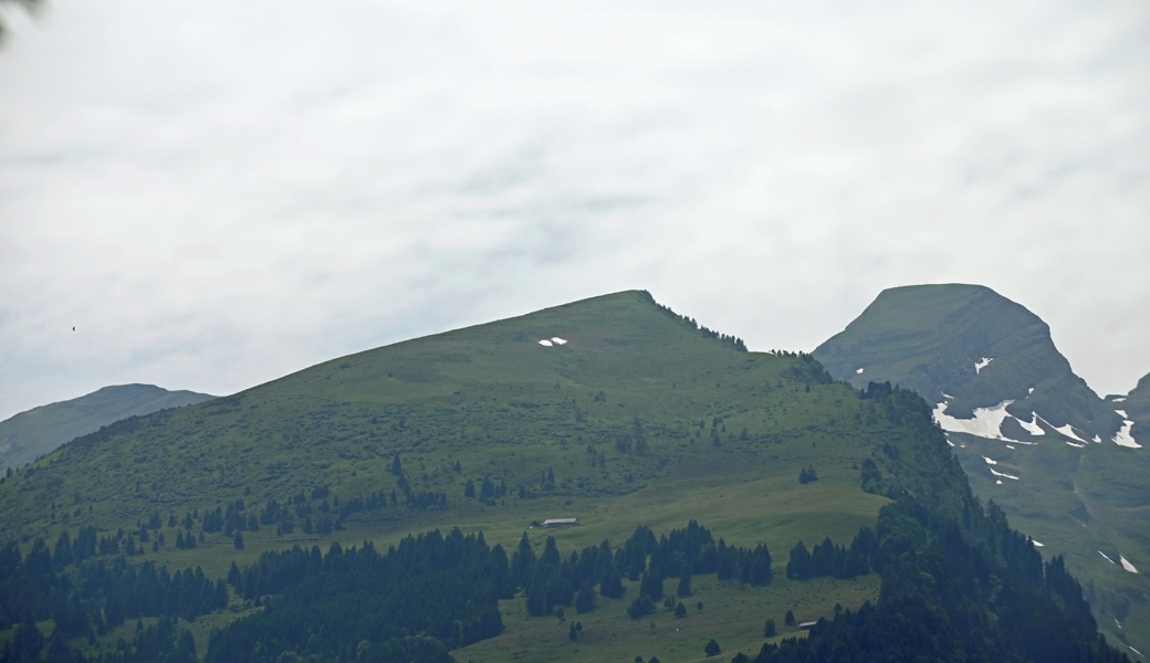 Arin hatte zwei Tage länger Schnee als der Säntis