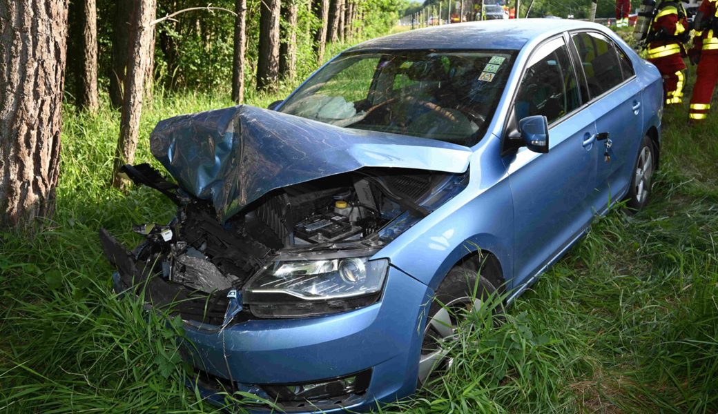  Mit dem Wildschutzzaun kollidiert: Auffahrunfall auf der Autobahn A13, Höhe Salez. 