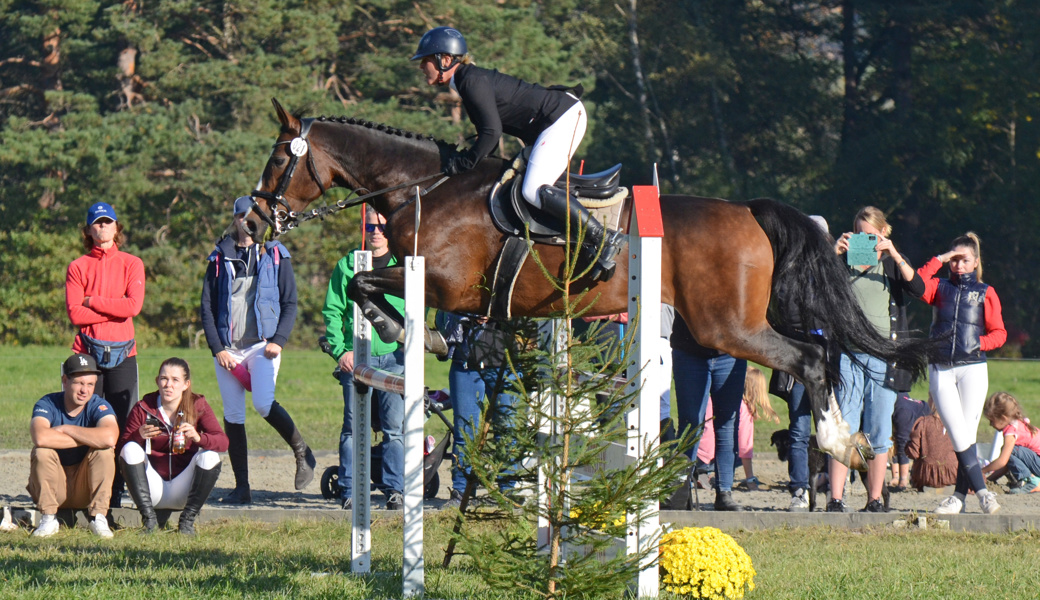 Renate Berner blieb in der OKV-Cup-Qualifikation als einzige der Werdenberger Equipe fehlerfrei. (Archivbild)