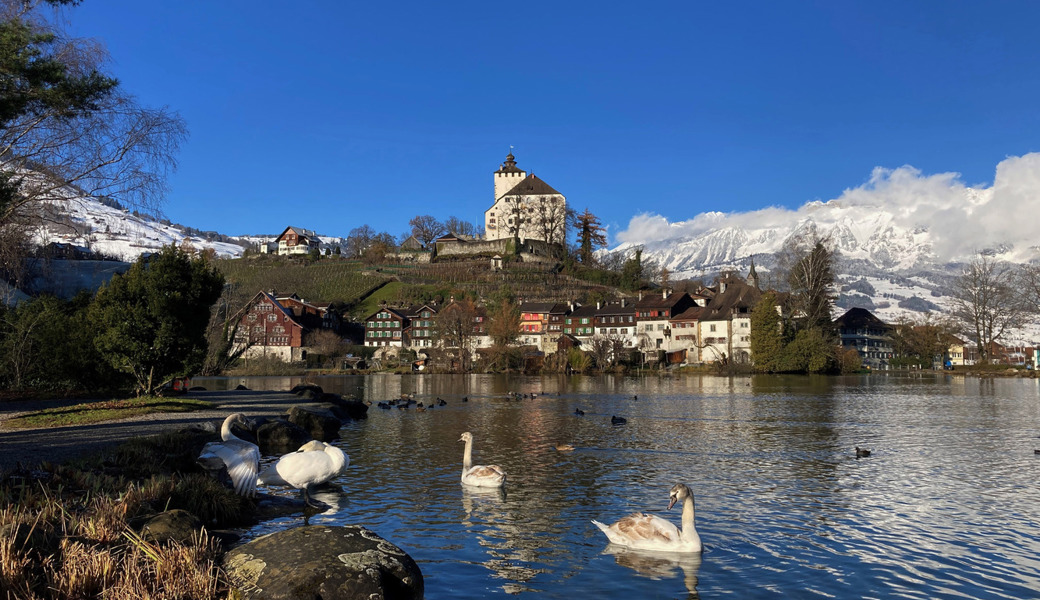 Aktuell, kompetent, engagiert: Unser neues Webportal für die Region ist seit heute online