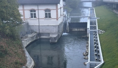 Neue Fischtreppe: SAK verbessert Fischwanderung am Binnenkanal