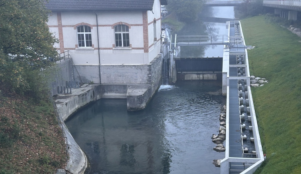 Das Fischleitsystem beim Kraftwerk Blatten.