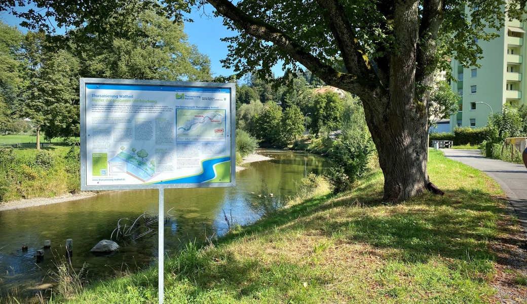 Plakate entlang der Thur, hier beim Schomattenquartier, informieren über das Sanierungsprojekt. Ein Grossteil der Bäume entlang der Thur kann erhalten werden.