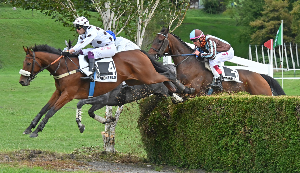 An der Spitze: Gabriele Agus triumphierte mit Les Feuxgrets im ersten Cross-Country des Tages.