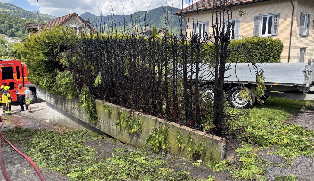 Beim Unkrautabfackeln Hecke in Brand gesetzt