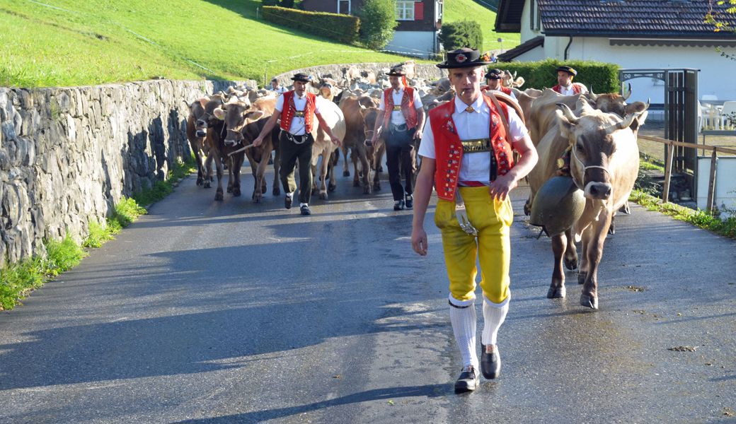 Rinder und Toggenburger Trachten prägten am Freitag das Strassenbild von Wildhaus.