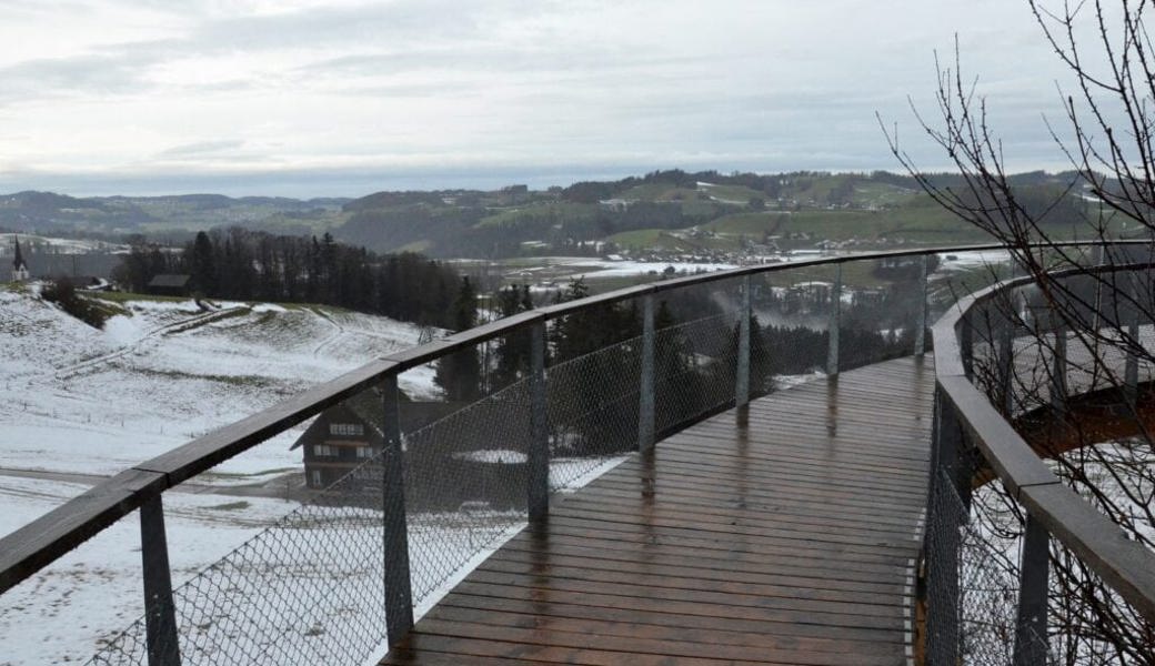  Auch bei weniger schönem Wetter ist der Baumwipfelpfad Neckertal einen Ausflug wert. 