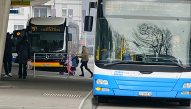 Elektrischer ÖV: Bald werden auch die blauen Busse grün