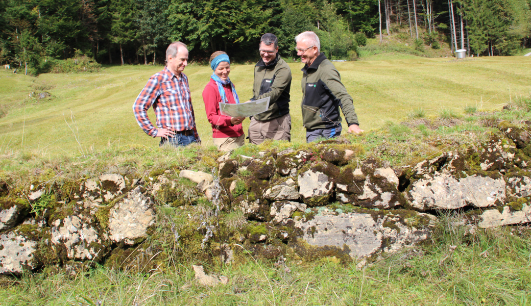 Markus Wortmann, Maya Valentini, Christof Gantner und Thomas Abderhalden (von links) informieren bei einer alten Trockensteinmauer über das Projekt Blässlaui-Ijental.