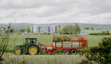 Von Wildbienen und Segelfliegern: Der Kampf um Artenvielfalt