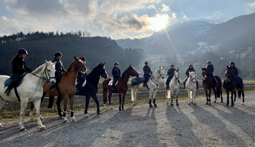  Bei bestem Wetter acht Kilometer in der Landschaft unterwegs: Der Reitclub Buchs führte letzten Sonntag den Neujahrsausritt durch. 