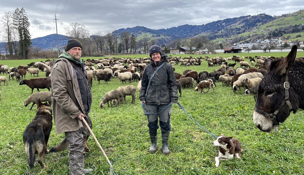 Der Hirte Gunter Buschmann wird von Patricia Oehler unterstützt. Ausserdem sind ein Esel und drei Hunde, unter ihnen zwei deutsche Schäfer, mit der Herde unterwegs.