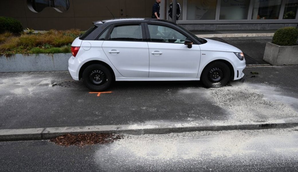  In Vaduz verursachte eine Autolenkerin in nicht fahrfähigem Zustand einen Selbstunfall. 