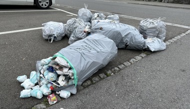 Abfallstatistik: Viel mehr Grüngut auf dem Land als in der Stadt